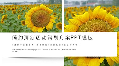 简约清新活动策划方案PPT模板