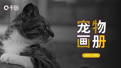 宠物画册ppt模板