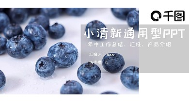 小清新风通用型PPT