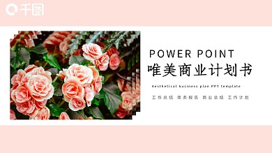 唯美商业计划书