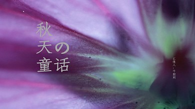 秋天落叶的长椅公园一角幻灯片模