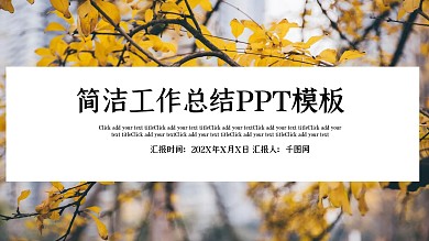 简洁工作总结PPT模板