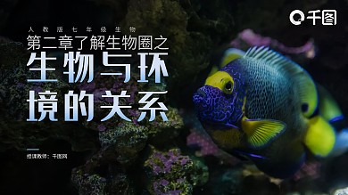 内容型人教版七年级生物与环境的关系课件