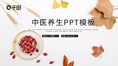 简约中医养生文化PPT模板