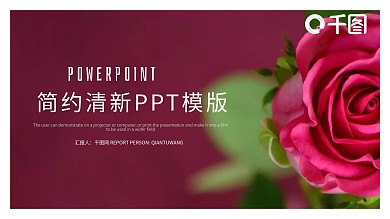 简约唯美工作总结汇报PPT模板