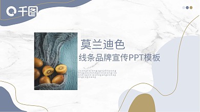 莫兰迪线条品牌宣传PPT模板