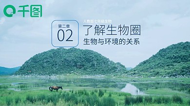 新人教版生物七年级生物与环境的关系