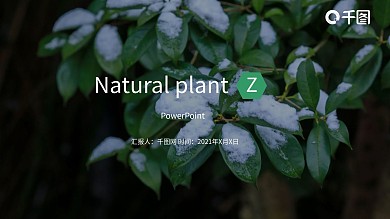 欧美风简约大气绿色低碳旅行画册PPT