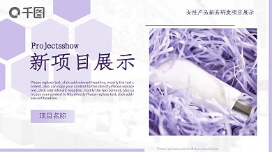 淡紫色女性产品研发项目展示报告