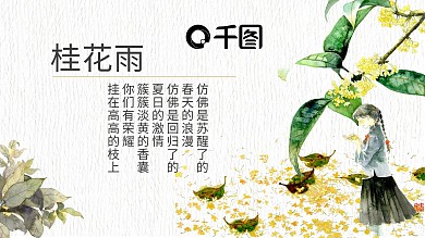 清新风人教版五年级桂花雨PPT课件
