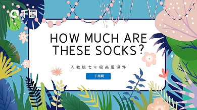 英语Howmuchsocks课件
