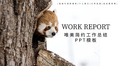 唯美简约工作总结PPT模板