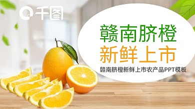 餐饮美食赣南脐橙新鲜上市农产品