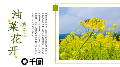 动态浪漫清新画册风油菜花汇报培训商务课件