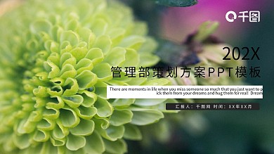 简约清新管理部活动策划方案PPT模板
