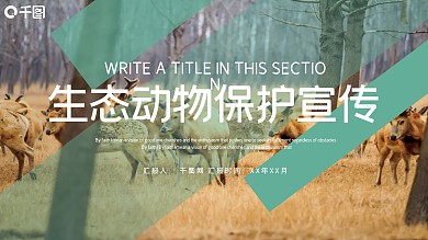 时尚商务风生态动物保护宣传PPT模板