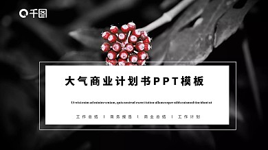 黑红大气商业计划书免费PPT模板