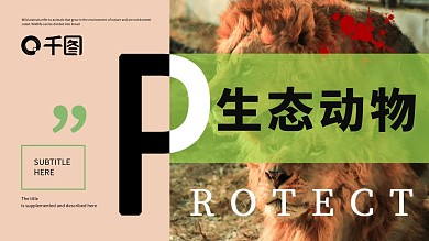 原创极简风保护生态动物模板