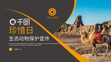 生态分析动物保护珍惜日PPT模板