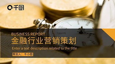 简约风金融行业营销策划通用版PPT