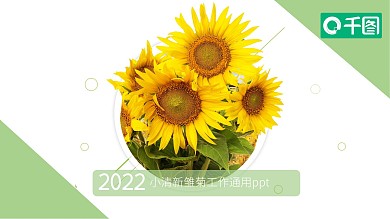 简约清新小雏菊工作汇报总结报告模板ppt
