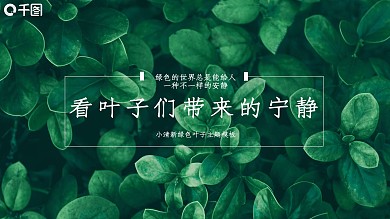 看叶子们带来的宁静——小清新绿色叶子主题
