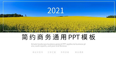 简约商业通用PPT模板