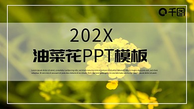 油菜花PPT模板