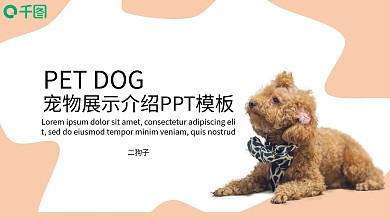 暖橙色宠物展示介绍PPT模板