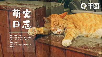 简约宠物萌宠画册电子相册PPT模板