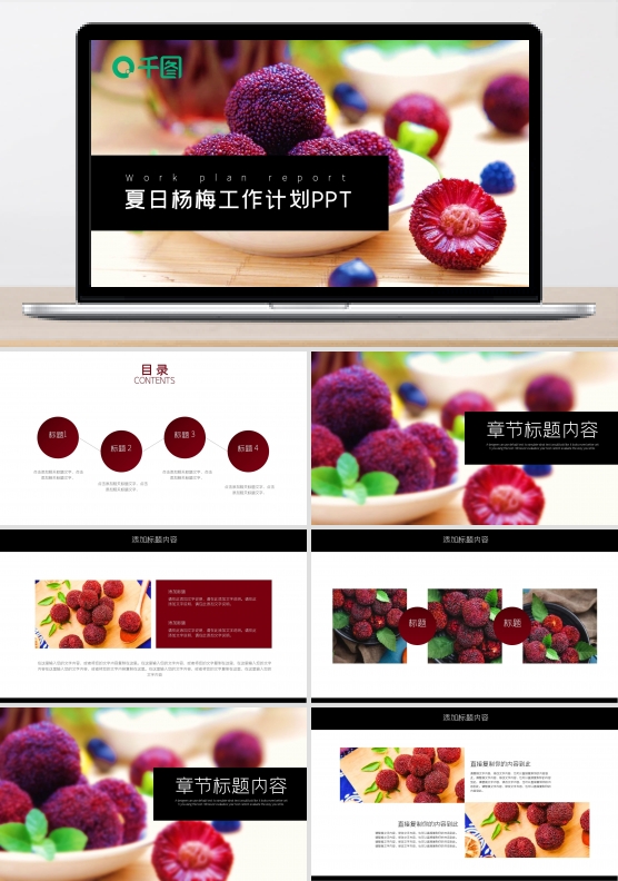杨梅产品介绍工作总结商务计划通用PPT