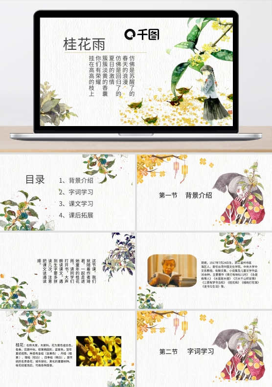 清新风人教版五年级桂花雨PPT课件