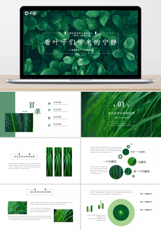 看叶子们带来的宁静——小清新绿色叶子主题