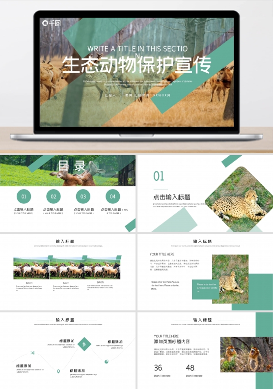 时尚商务风生态动物保护宣传PPT模板