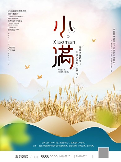 简约二十四节气小满节日宣传海报