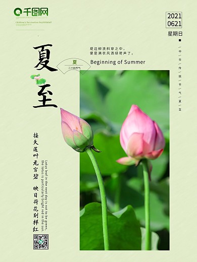 夏至荷花别样红海报