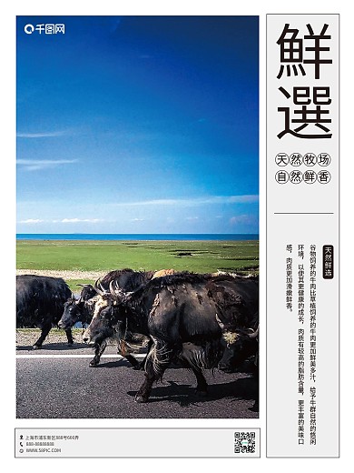 精選牛肉餐飲系列海報鮮選牛肉海报