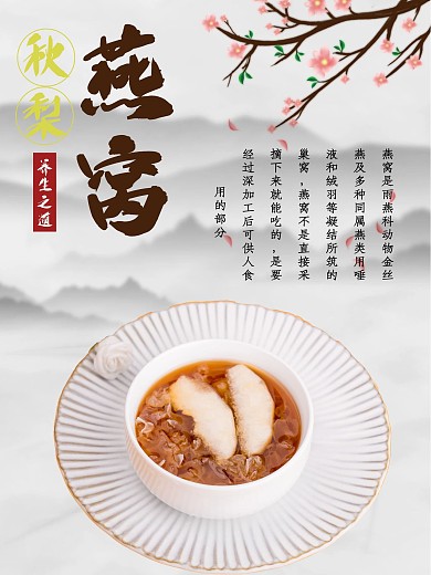 燕窝养生滋补补品海报
