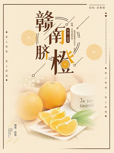 赣南脐橙橙子高档海报