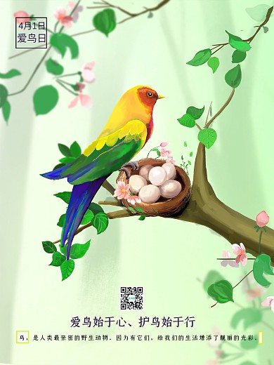 亲爱的小鸟国际爱鸟日