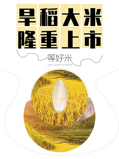 大米隆重上市大气简约海报
