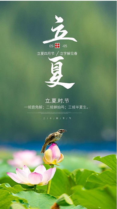 立夏节气简约原创海报