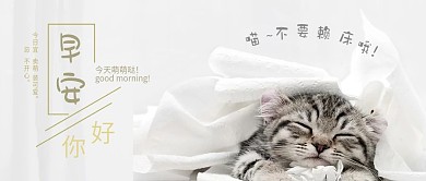 你好早安萌宠猫咪小清新公众号首图微信