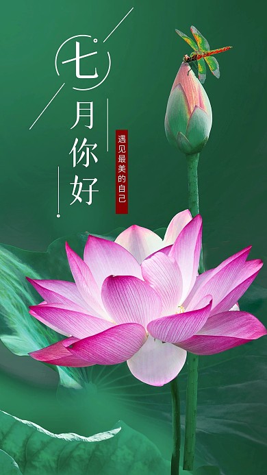 你好七月手机用图