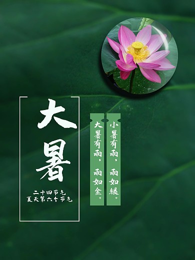 大暑节气绿色荷花海报