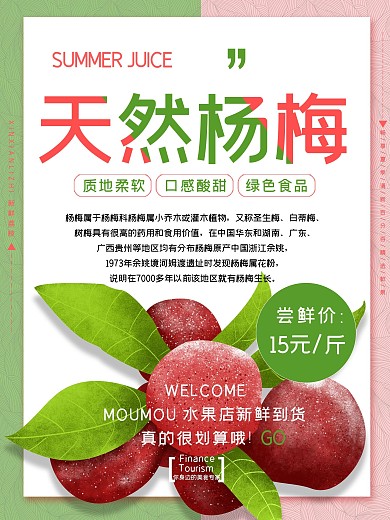 杨梅夏季水果红色简约清新商业海报设计模板