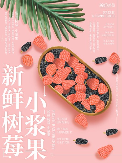 原创插画新鲜树莓水果海报