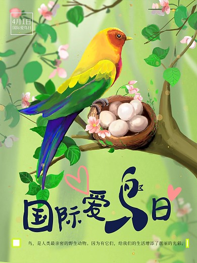 国际爱鸟日小鸟插画