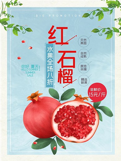 清新红石榴水果促销海报