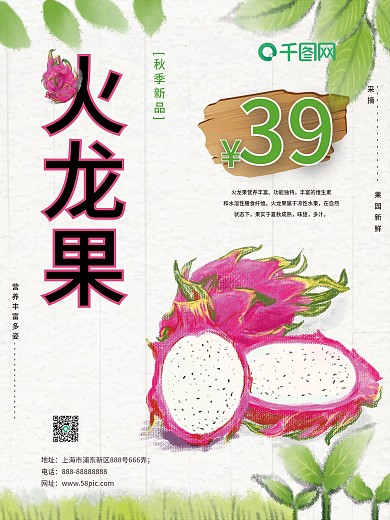浅绿色简约水果火龙果促销海报